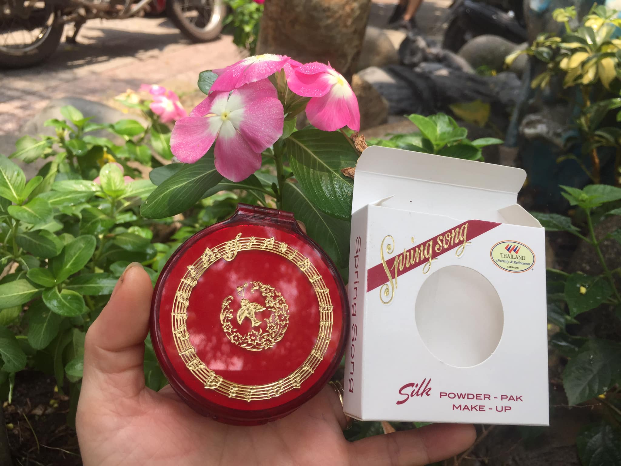 Phấn phủ trang điểm Thái Lan con chim Én 15 g