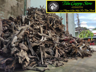 Lũa Gỗ Lũa Rừng Lũa Thủy Sinh - Trang Trí Hồ Cá Thiết Kế Layout cho Hồ Thủy Sinh