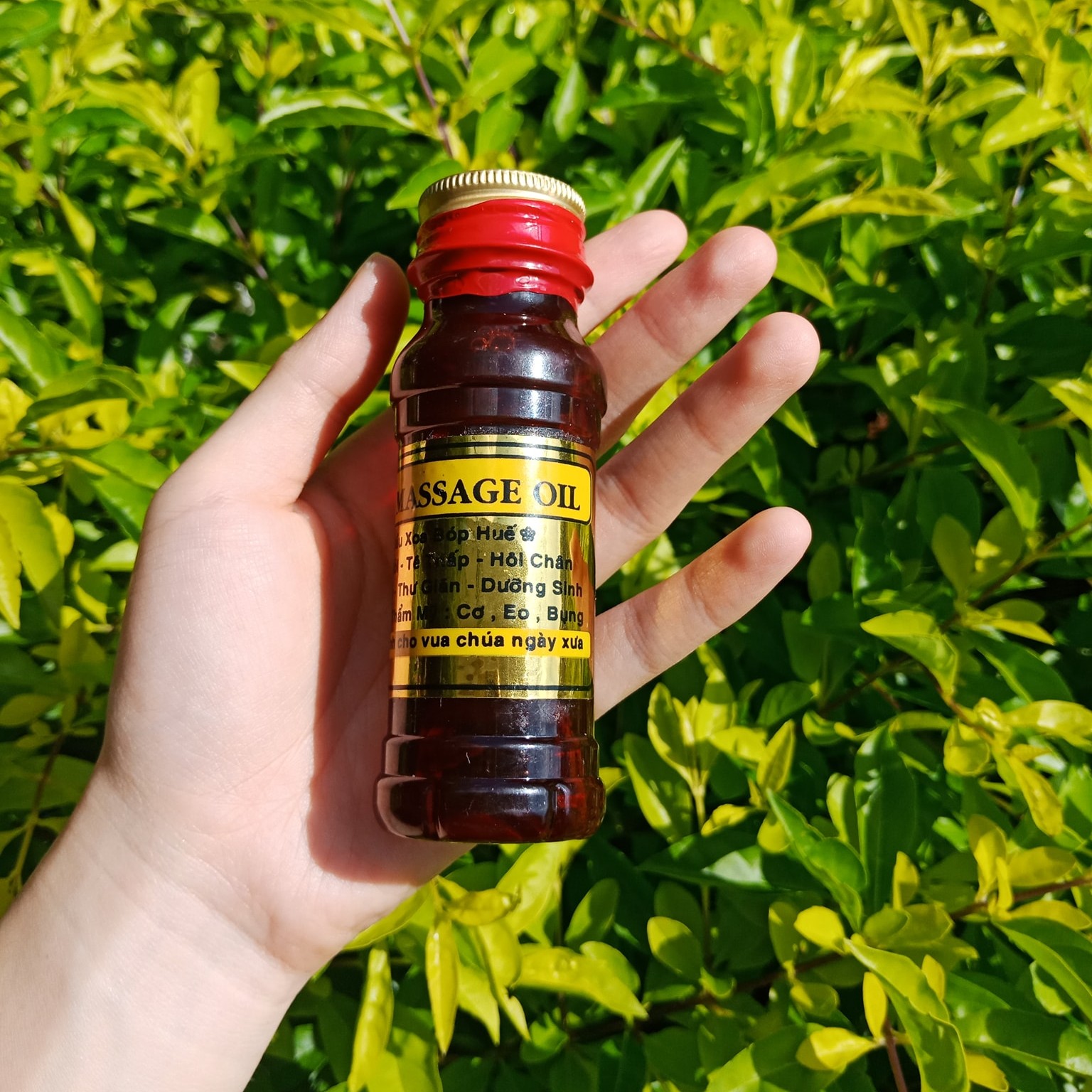 Combo 3 chai dầu xoa bóp huế cao cấp