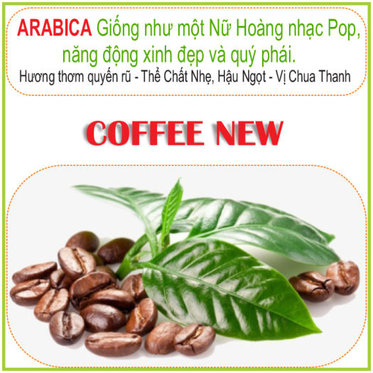 1KG Cafe nhân sống ARABICA Chưa Rang ĐẶC SẢN CẦU ĐẤT  Sàng 18 Hàng Chất Lượng Cao  Coffee New
