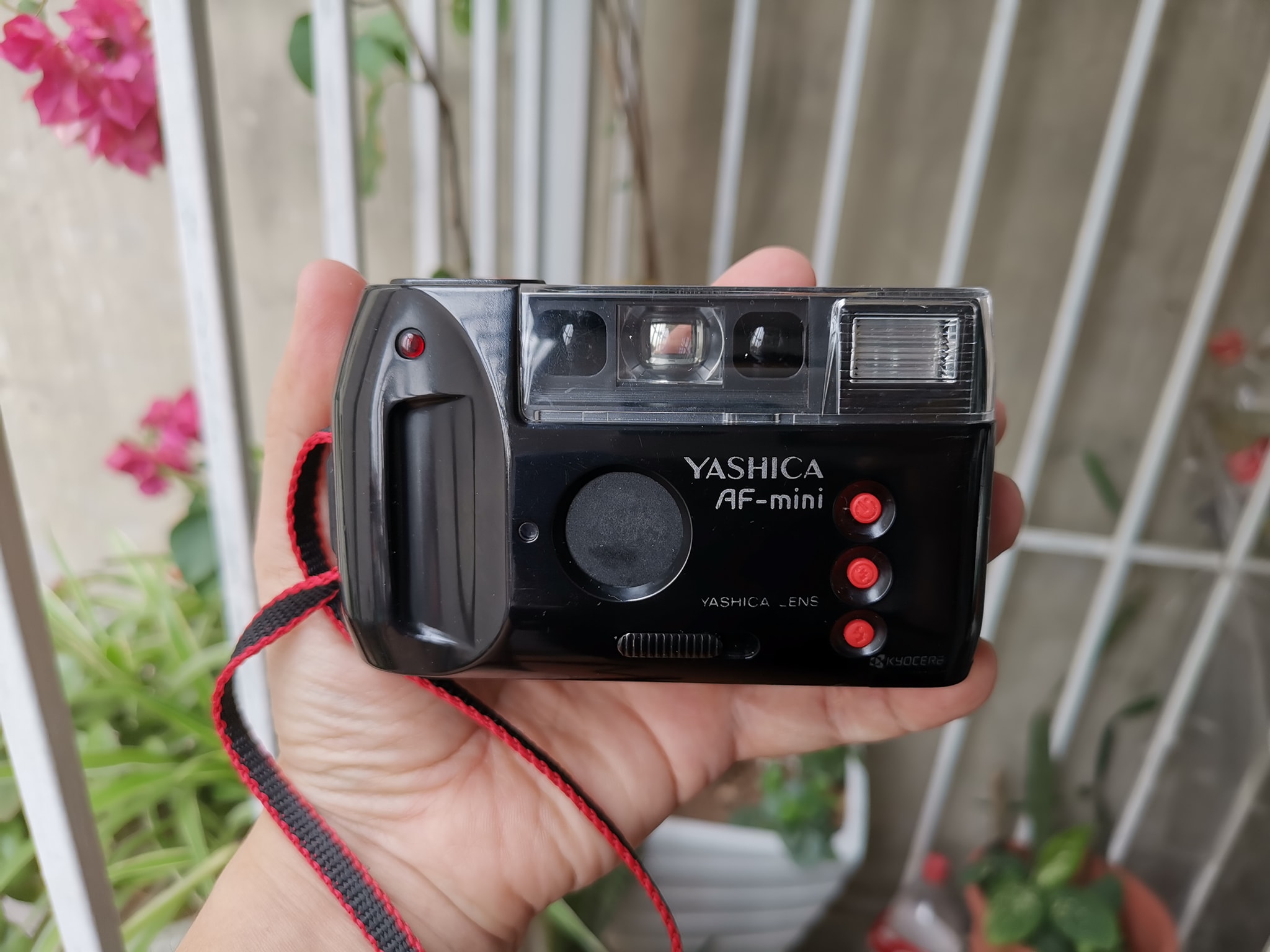 yashica p mini