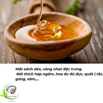Mật Ong Thiên Nhiên, 100% nguyên chất được thu hoạch từ các cánh rừng Tây Nguyên. Mật vàng, sánh, thích hợp với mọi lứa tuổi, vmixfood, ecomart