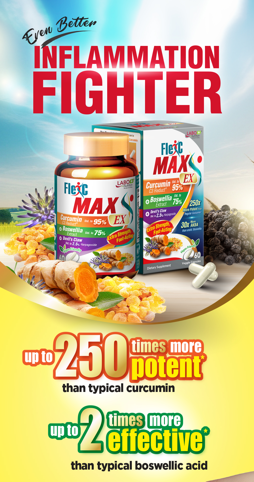 HUBIS LAB ダーママックス C コンプレックス 50ml HUBIS LAB ダーママックス C コンプレックス 50mlの卸・通販