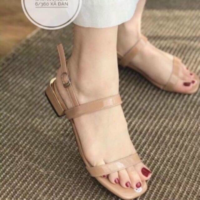 Dép Quai Hậu Nữ Xăng Đan Đế Bệt Nữ Thiết Kế Đơn Gian Lên Chân Sang Đẹp Bảo Hành 6 Tháng Size 35 -39