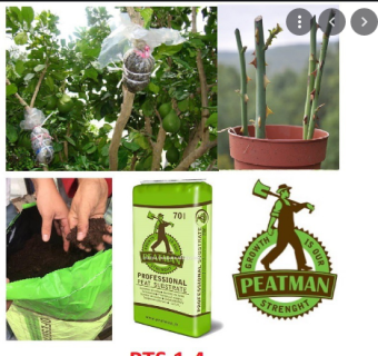 Đất Hữu Cơ Peatman ( Peat Moss) Chuyên Dùng Ươm Hạt Giống bao 70 lít (17-17.5kg)