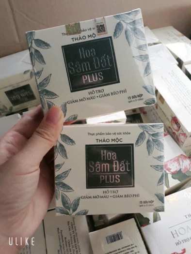 Giảm Cân Hoa Sâm Đất Plus