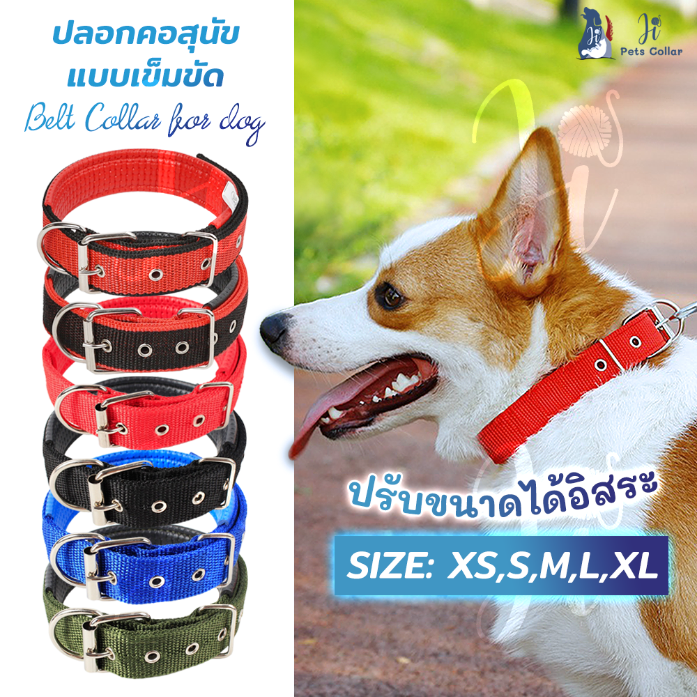 Pet Collar for Cat and Dog, Large Dog