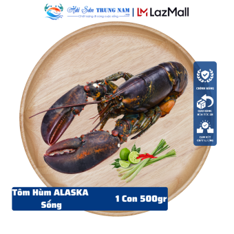Tôm Hùm Alaska Sống Size 500Gr 1 Con