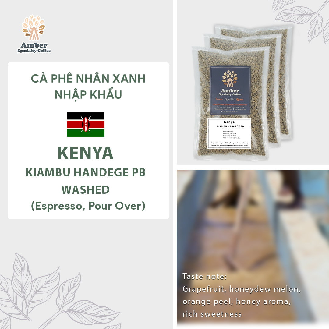 Cà phê nhân xanh Kenya Kiambu Handege PB Washed - 1kg | Amber Specialty Coffee