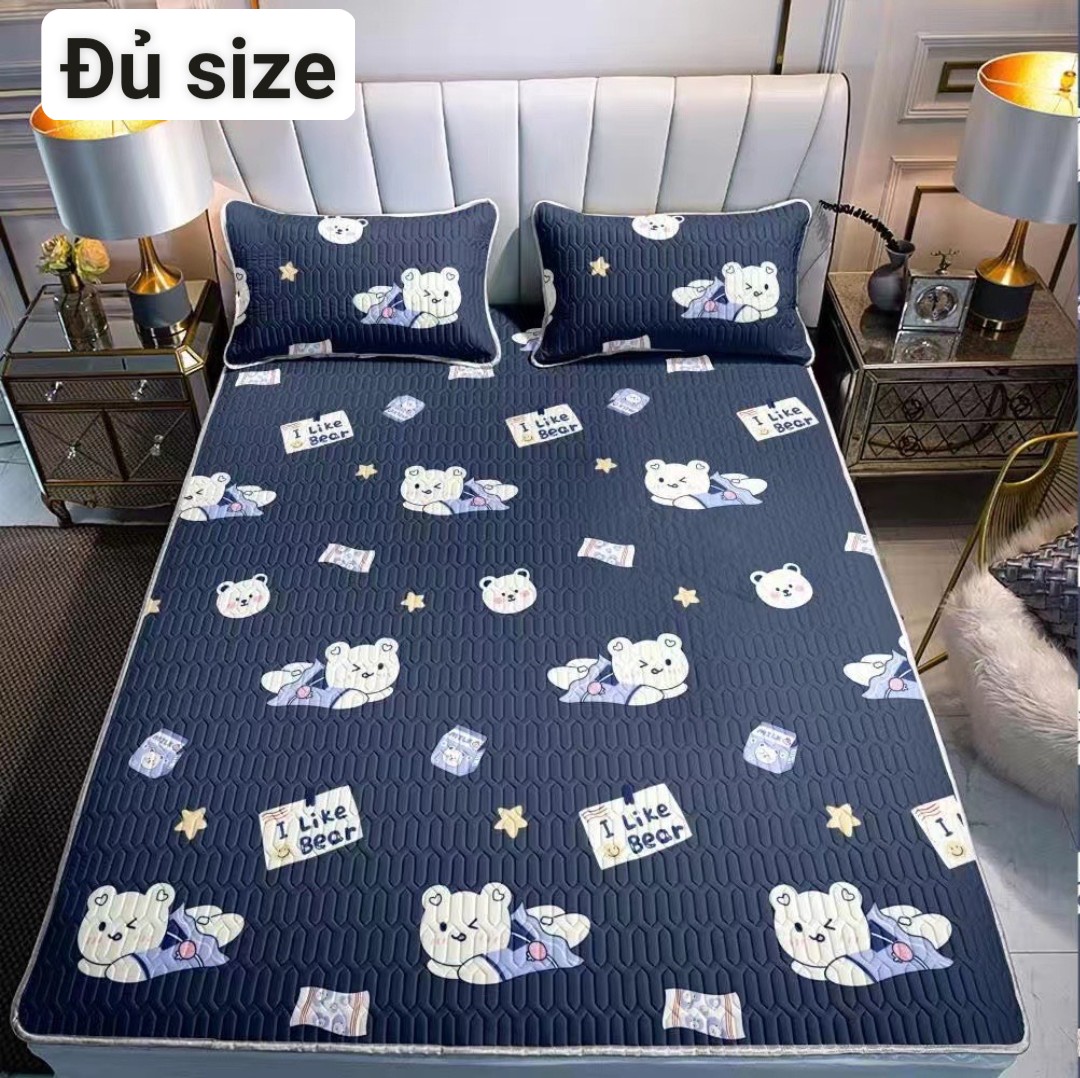 Chiếu diều hòa cao su non 1m6 x2m loại 5D mẫu gấu