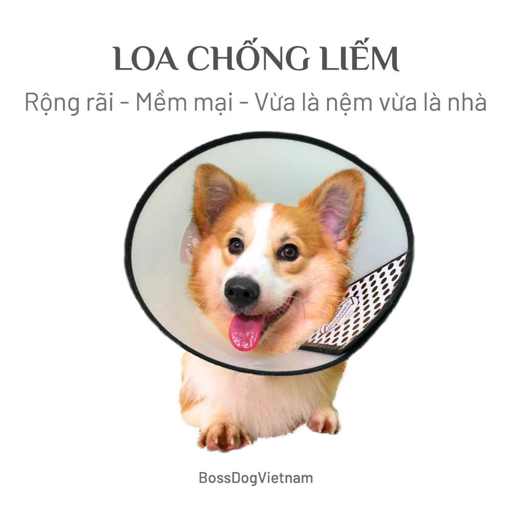 Loa chống liếm cho chó - Thiết kế an toàn, vững chắc | BossDog