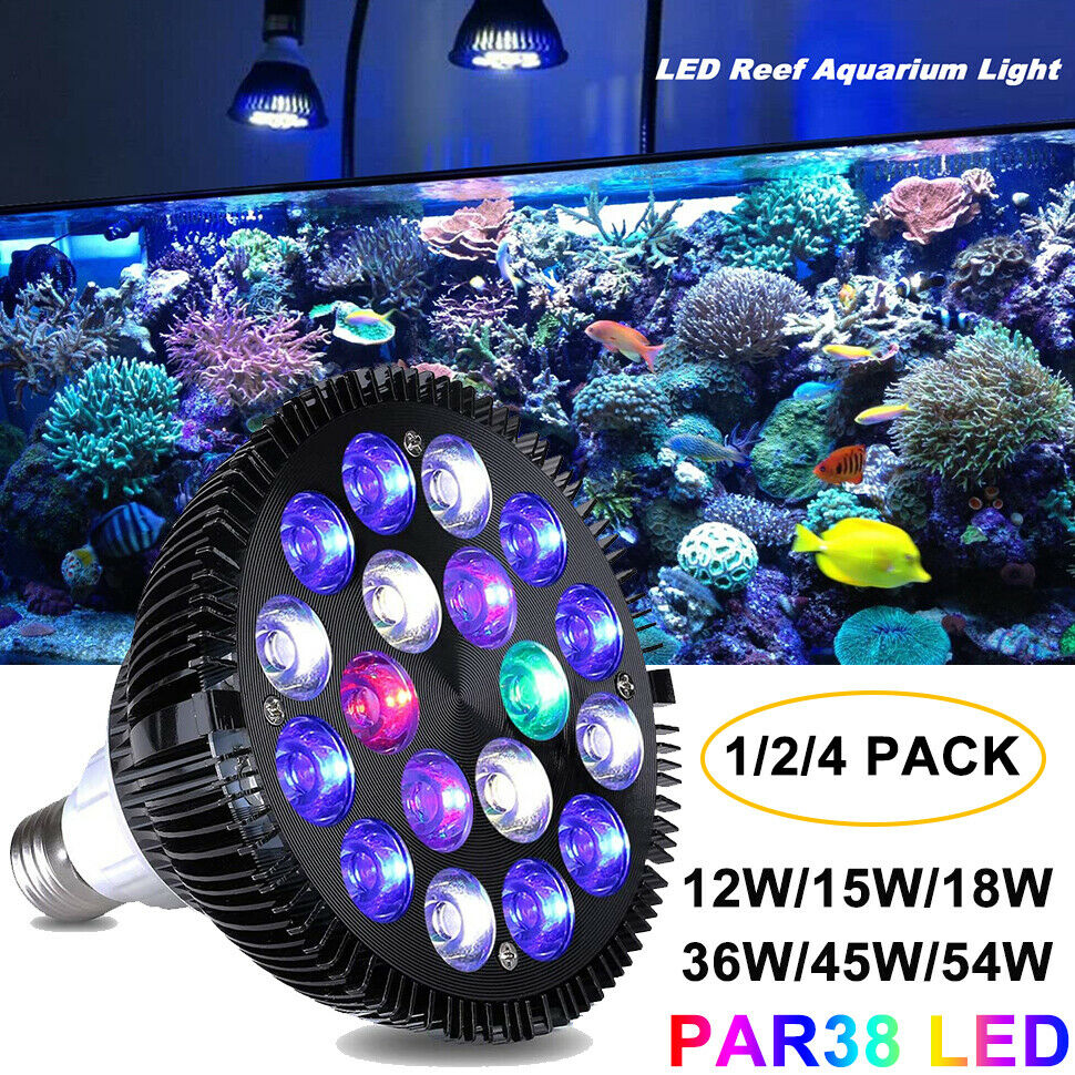 15 watt aquarium light bulb