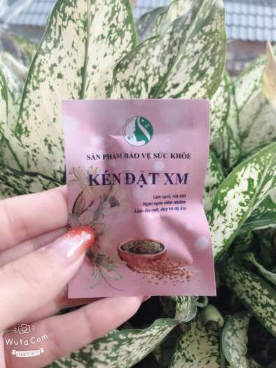 KÉN ĐẶT XM, Viêm âm đạo