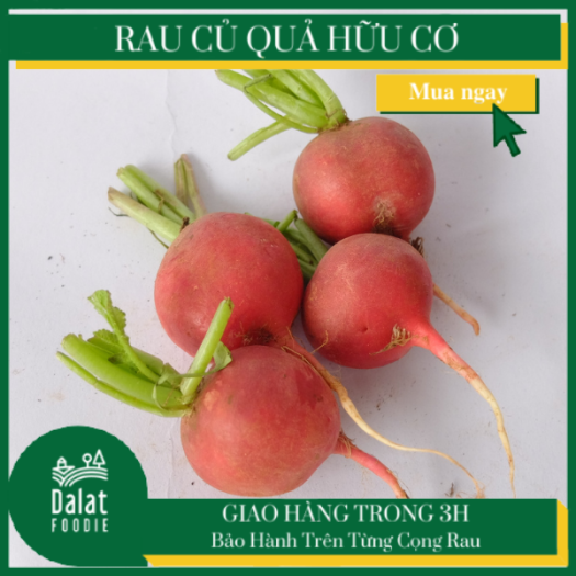 Củ Cải Đỏ 300G - [Giao hàng ngay tại TPHCM]