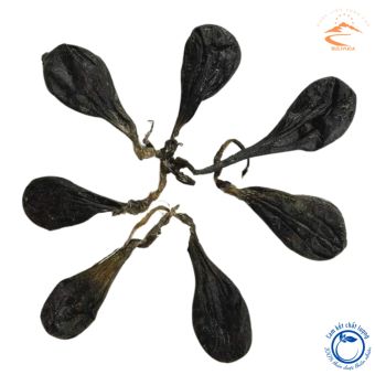 Mật kỳ đà rừng (cam kết hàng chuẩn, chất lượng 100%), mật kì đà - Dược liệu hỗ trợ người bị hen suyễn