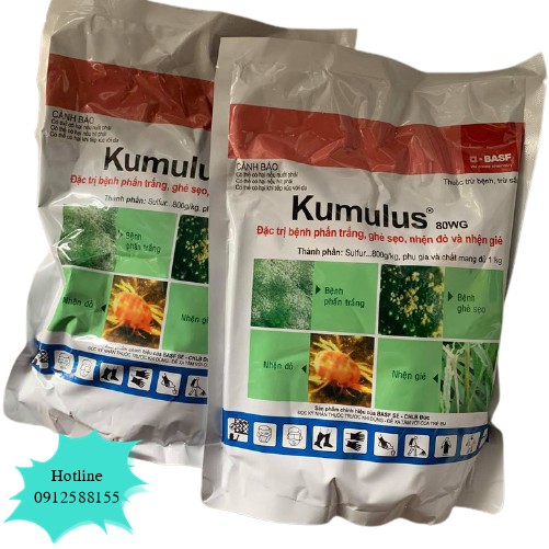 Thuốc trừ bệnh phấn trắng, ghẻ sẹo, nhện đỏ Kumulus 80WG