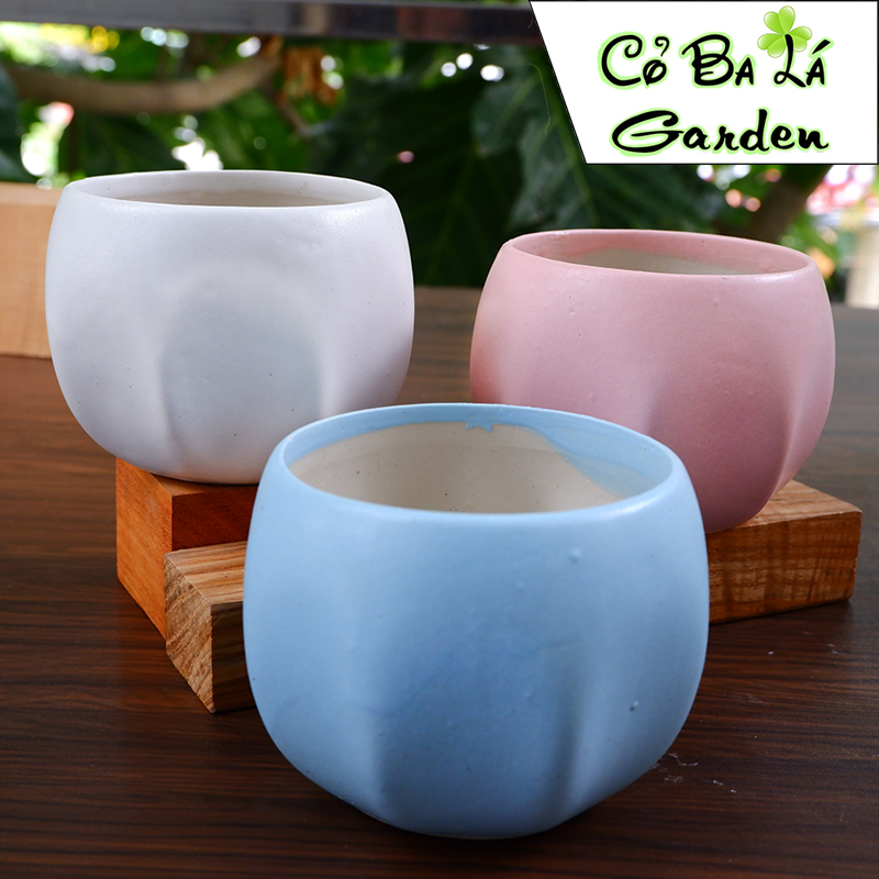 Chậu sứ bát tràng-hình bóng lõm