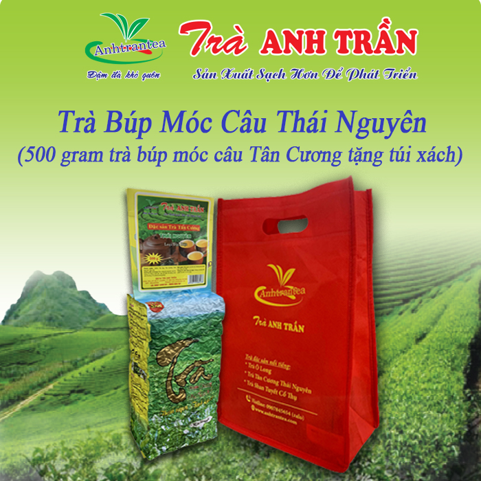 Túi + 500 g Chè búp Tân Cương Thái Nguyên (Trà móc câu), loại đặc biệt Trà Anh Trần
