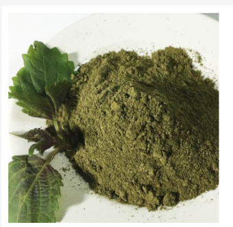 Thảo quyết minh 1kg  (Hạt muồng muồng) GT315