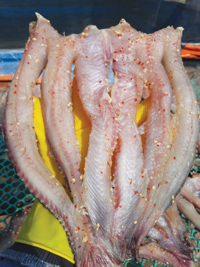 Khô cá lóc đủ 3 nắng,to bự thịt dẻo thơm ngon tuyệt vời HÚT CHÂN KHÔNG TẠI KHÔ CÁ CÀ MAU SG- 1KG, 500GR, 100GR