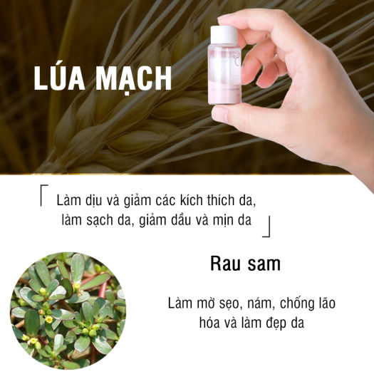 Dung Dịch Chấm MdoC AC Solution Powder Spot 15ml