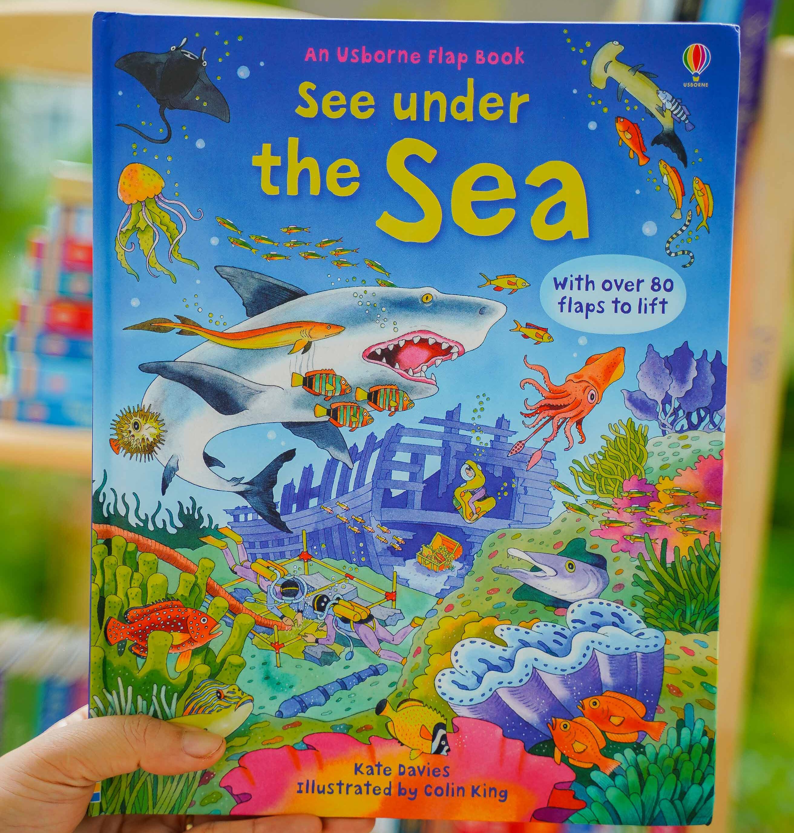 Sách tiếng Anh Usborne kích thích cho trẻ tự khám phá See Inside