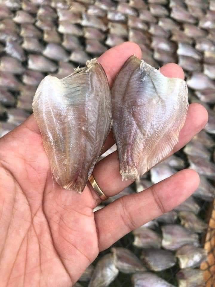 Khô cá sặc bướm, sặc đồng
