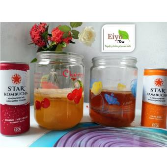 Con giống SCOBY ORGANIC làm Trà KOMBUCHA Hữu Cơ.