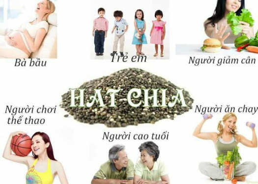 Hạt chia tím Úc 1kg - Chia nhập khẩu Úc thương thiệu Absolute Organic có tem chống hàng giả