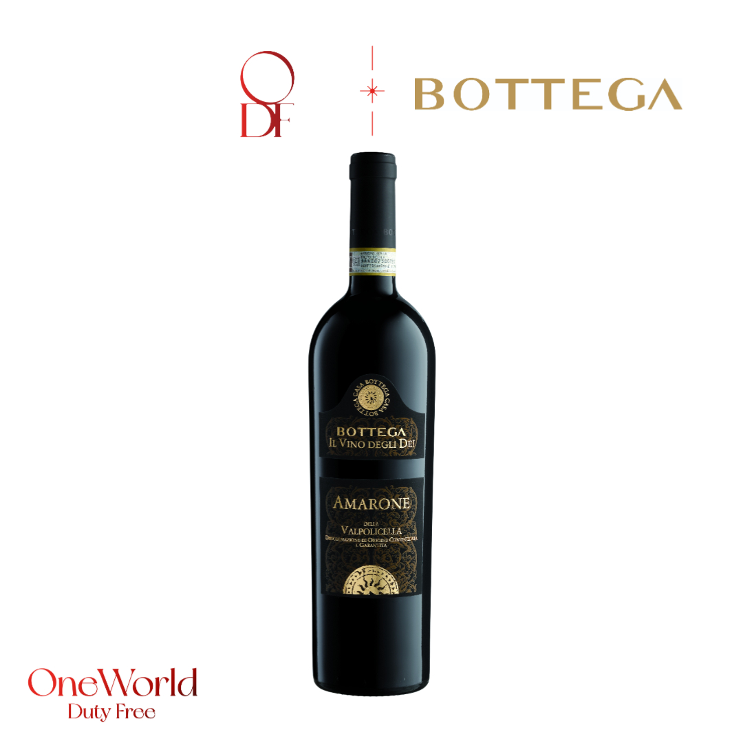 Bottega Amarone Della Valpolicella Docg - Italy Red Wine For