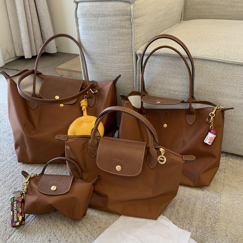 Longchamp bag discount brown medium