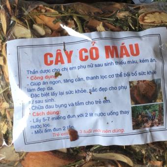 cây cỏ máu tăng cân 1kg