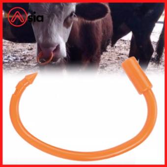 KÌM BẤM XỎ MŨI CHO BÒ - RUVET VIỆT NAM