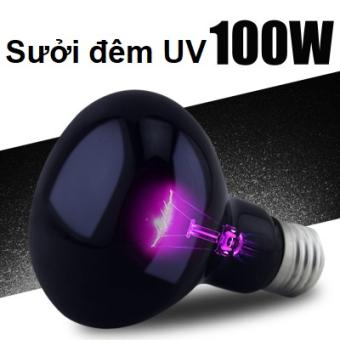 Đèn UVA sưởi đêm cho bò sát thương hiệu nomoy