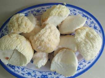 Mộng dừa  ( 2 trái dừa có mộng to )