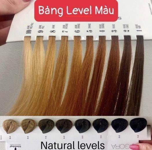 Thuốc Nhuộm Tóc Màu Vàng Sáng Light Golden Blonde 8/3 Hair Dye Cream