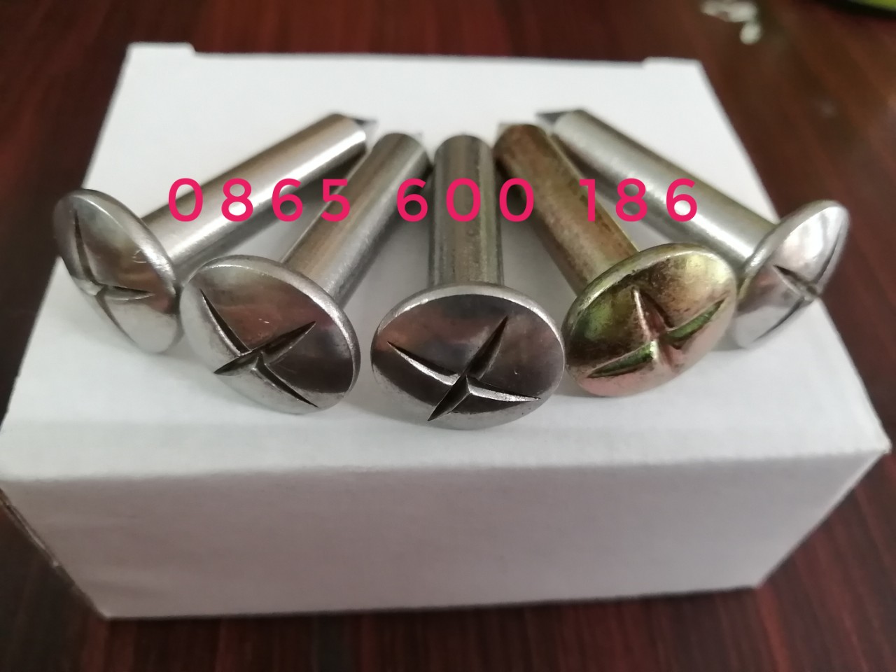 Đinh mốc trắc địa - Combo 05 cái đinh mốc 5cm
