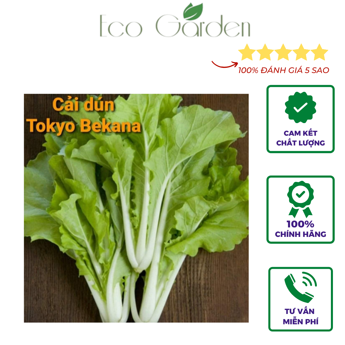 Hạt giống cải bẹ dún Tokyo Bekana chịu nhiệt nhập Mỹ - Johnny's Seeds