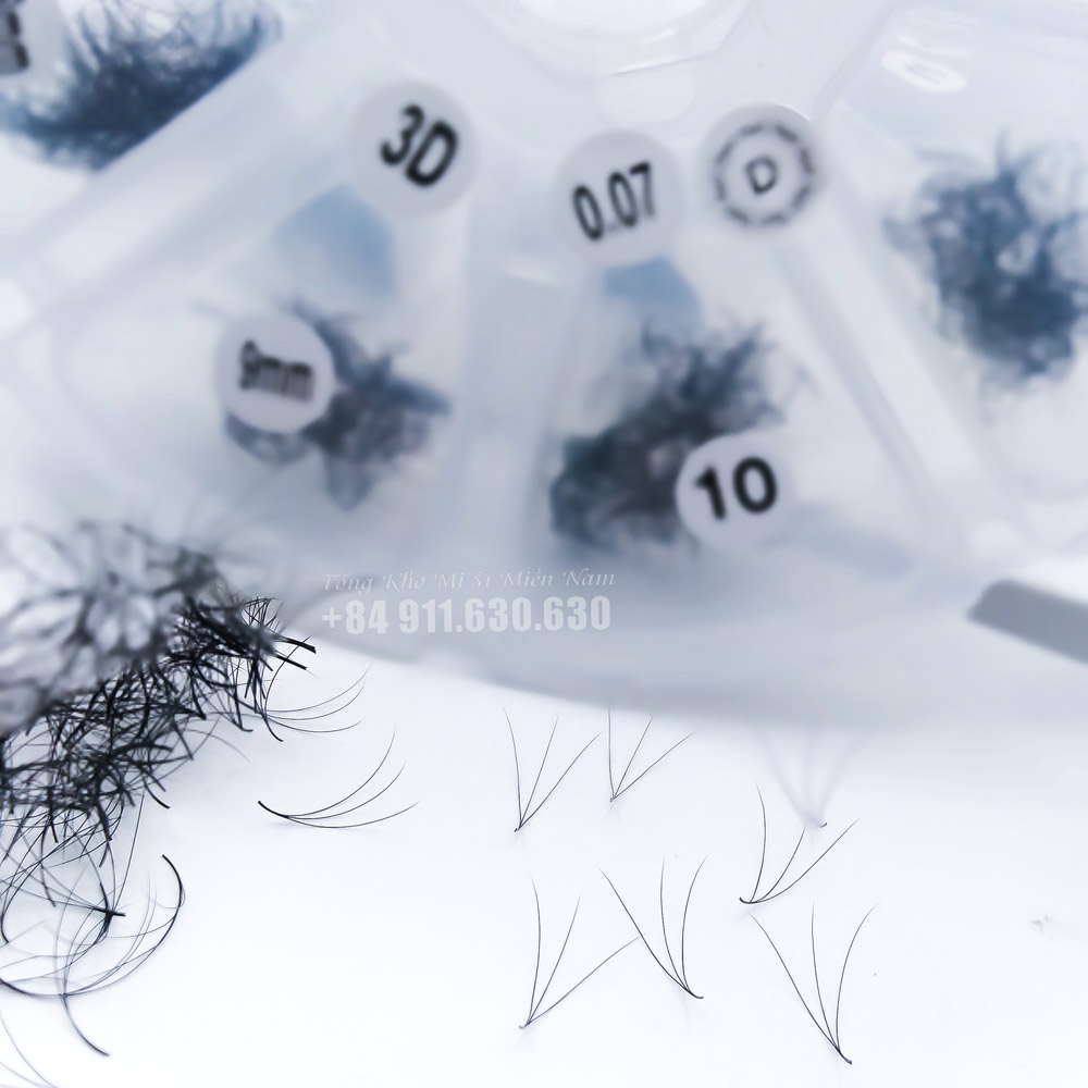 Mi fan 3d mix cong c,cc, d hộp 1000 fan dụng cụ nối mi_