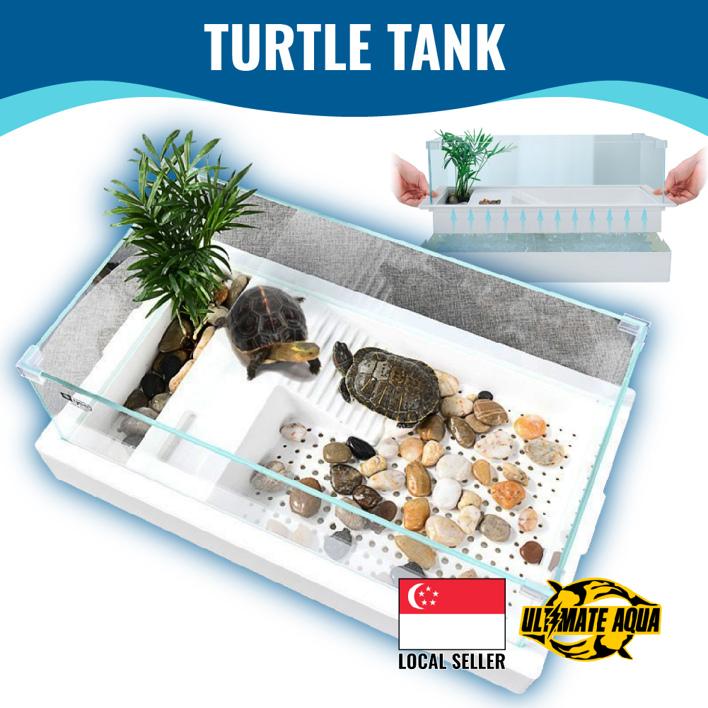 Turtle Aquarium Accessories - Best Price in Singapore - Jan 2024