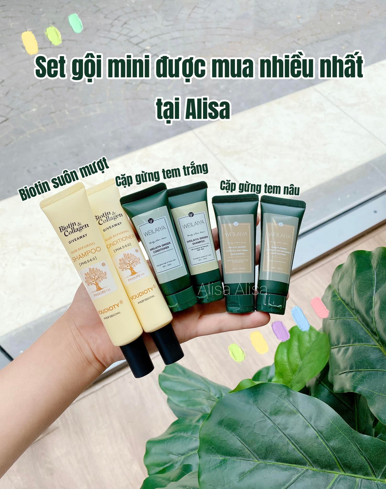 Set gội xả mini 30ml -alisa