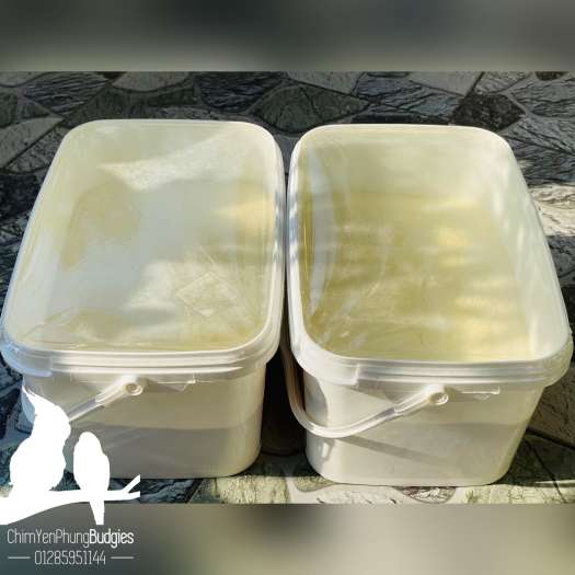 500g bột Nutribird A21 giàu dinh dưỡng cho vẹt non_XUẤT XỨ: BỈ - date mới.