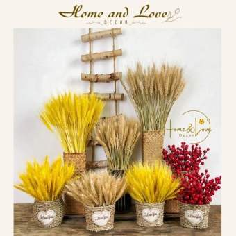 100 bông lúa mạch khô decor, trang trí nhà cửa, chụp ảnh