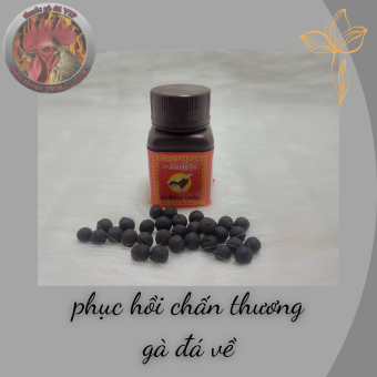 phục hồi chấn thương - điều trị gà bị tan , gà đá về (1 lọ / 30 viên)