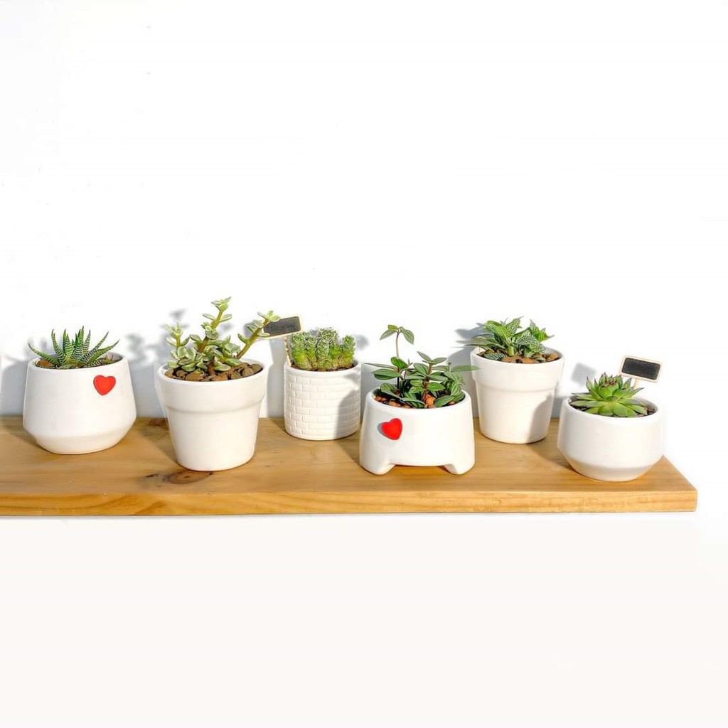 Bộ Kệ Gỗ (20cmx110cm) 1 Thanh kệ treo tường trang trí kệ để đồ- Gỗ Thông Tự Nhiên bảo hành 12 tháng bền đẹp giá tại xưởng