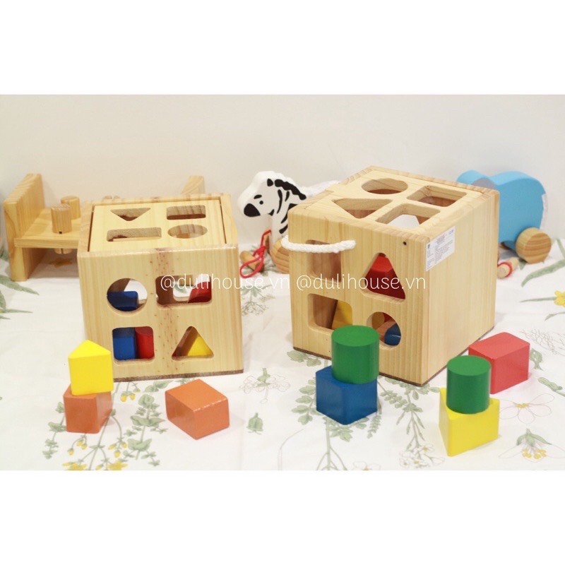 Đồ chơi hộp thả hình khối gỗ trí tuệ