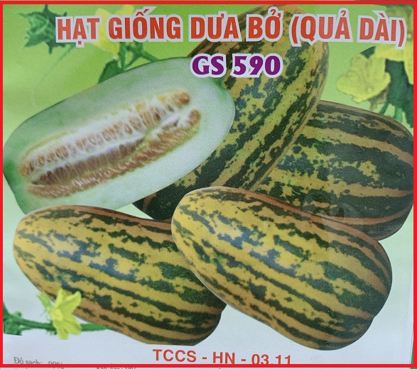 Hạt giống dưa bở quả dài siêu ngon gs590 - gói 10gr
