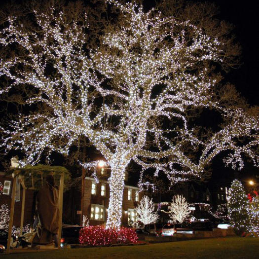 Đèn LED đúc 5V, led hạt, đèn led quấn cây, đèn Led trang trí ngoài trời, đèn LED quảng cáo chống nước