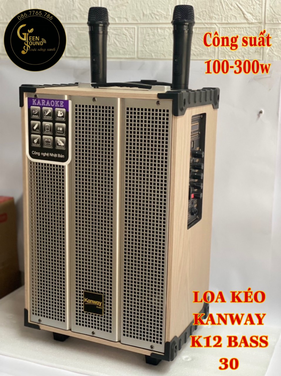 Loa kéo bluetooth kanway k12 bass 30 cao cấp