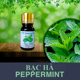 Tinh dầu bạc hà Peppermint-10ml